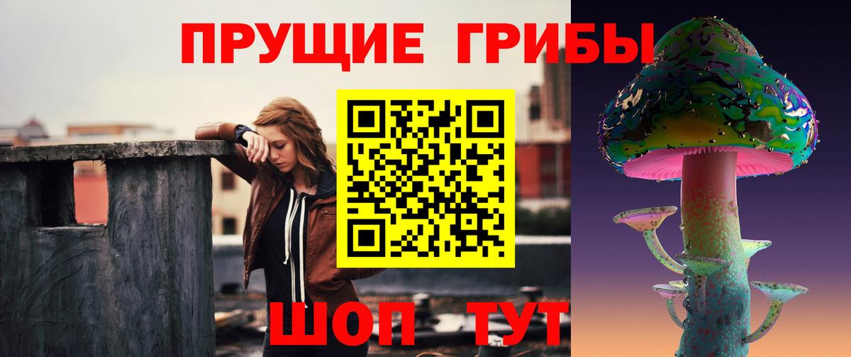 Галлюциногенные грибы ЛСД  Вход с VPN  магазин    Новоалтайск 